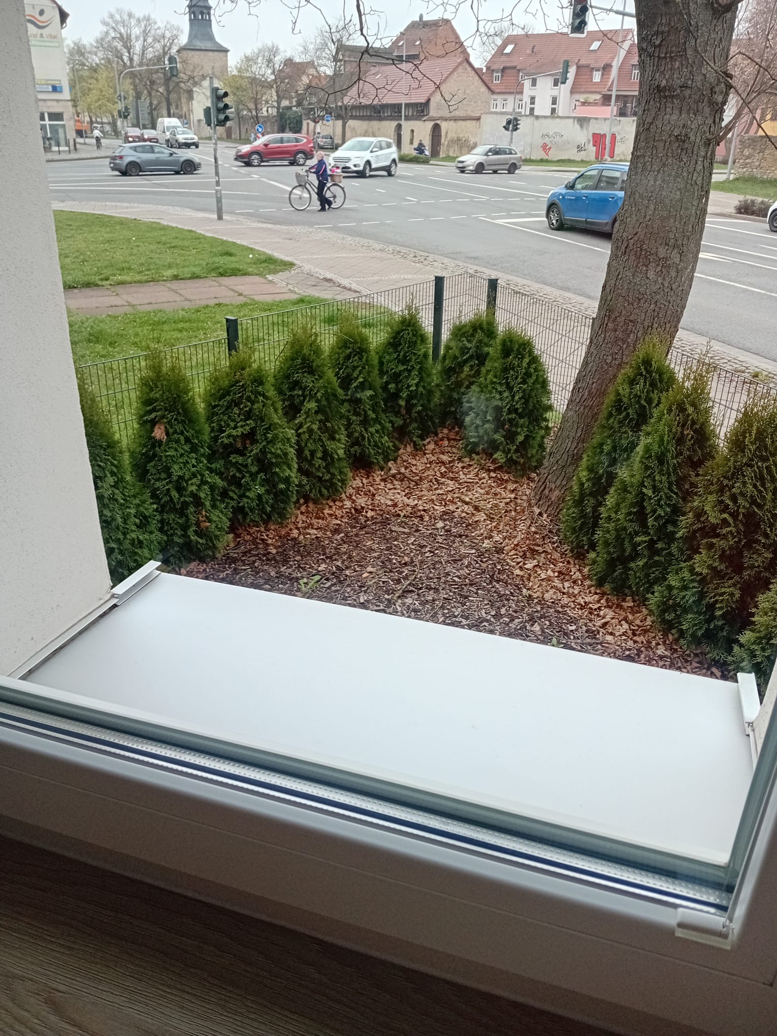 Fensterbrett nach der Reinigung — sichtbar sauber, ohne Algen und Schmutz