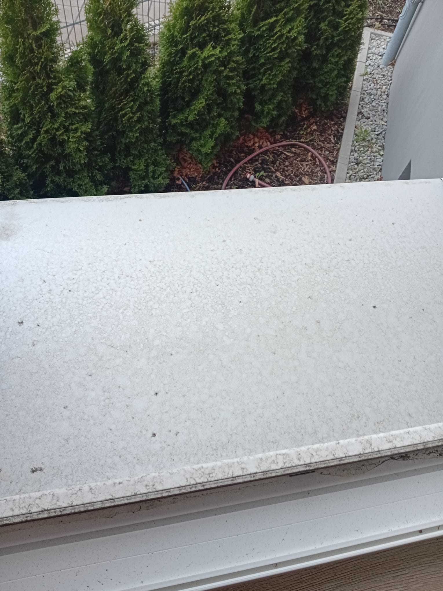 Fensterbrett vor der Reinigung — verschmutzt und veralgt